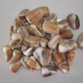 /album/galeria-de-fotos-sobre-nos/a07-jpg1/